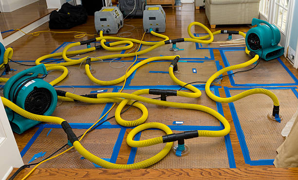 Professional Crawl Space Water Removal technician working in Abingdon, IL